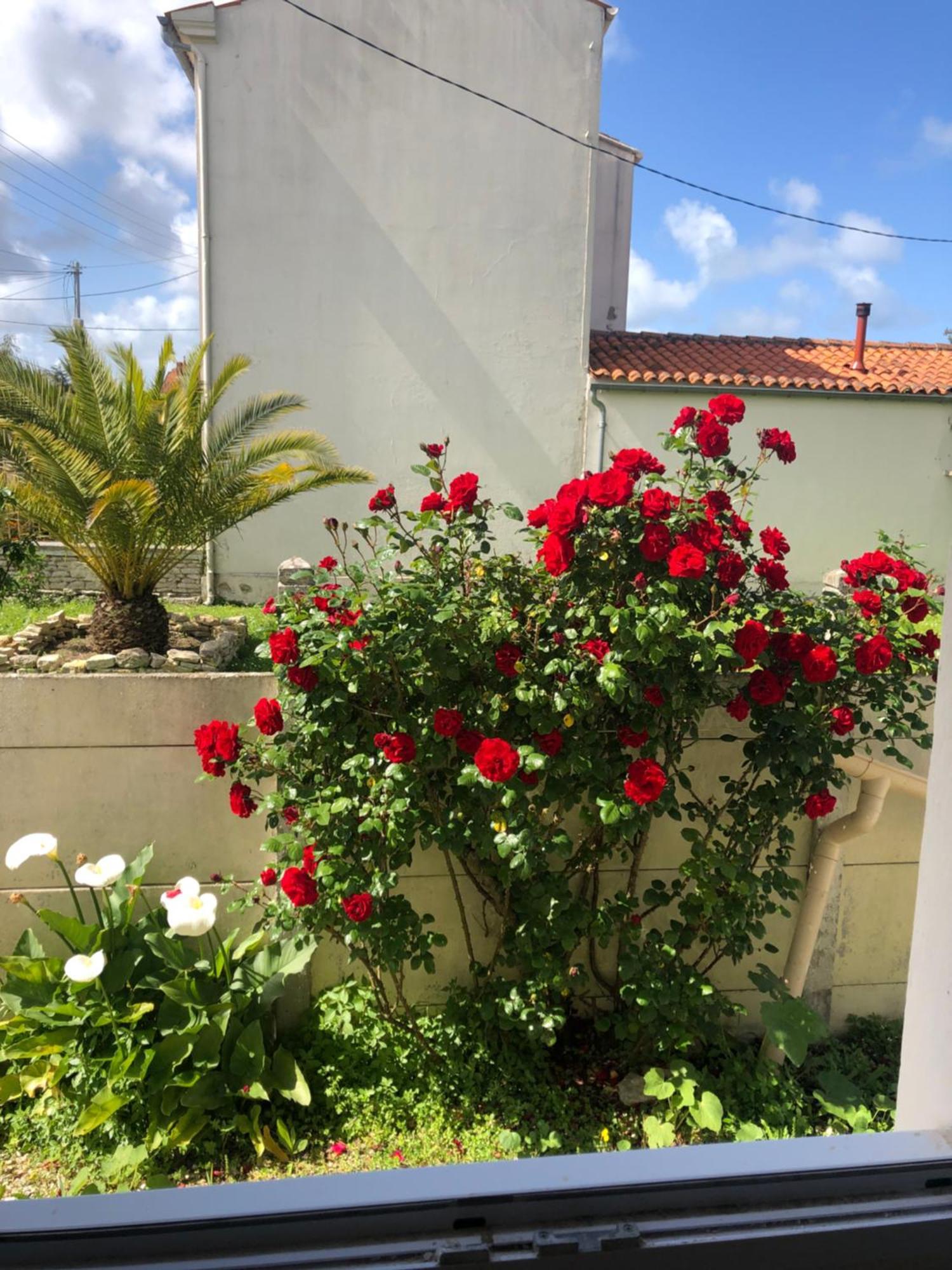 דירות Grand-Village-Plage La Sirene מראה חיצוני תמונה